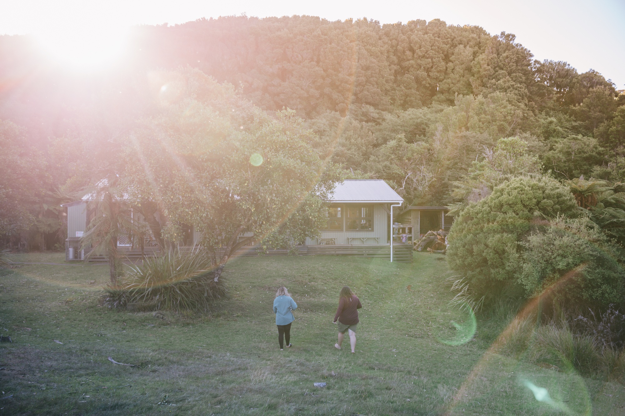 You are currently viewing Walking the iconic Rakiura Track: New Zealand’s most underrated Great Walk